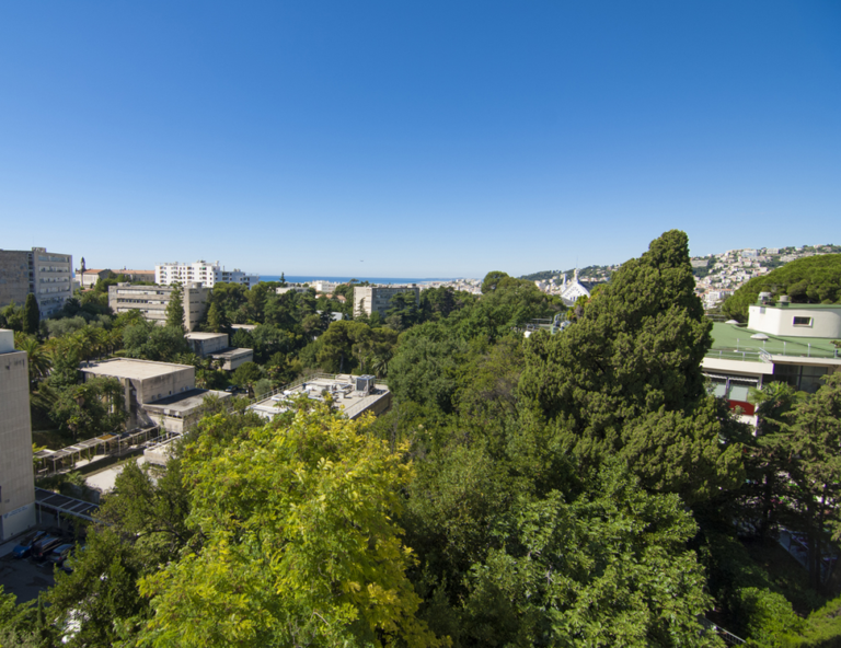 Vue Montebello